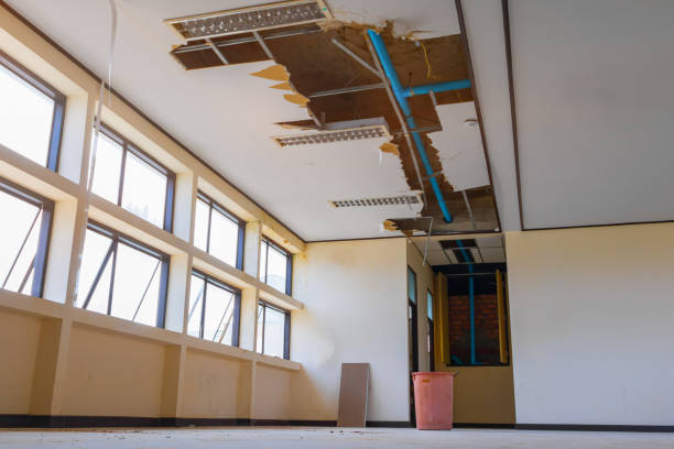 Best Water damage restoration company  in Coalville, UT