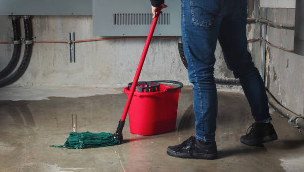 Best Emergency water damage restoration  in Coalville, UT