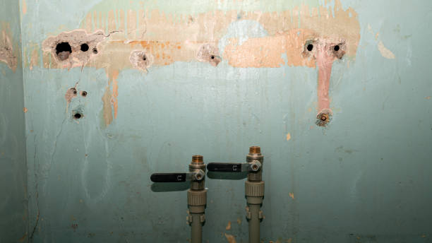 Best Water damage cleanup near me  in Coalville, UT