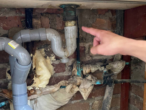 Best Water damage restoration specialists  in Coalville, UT