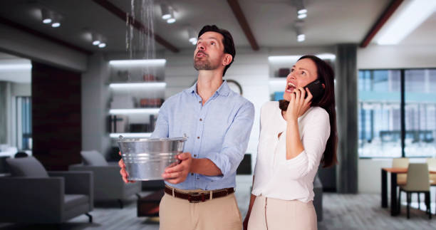 Best Mold removal after water damage  in Coalville, UT